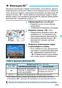 Страница 203