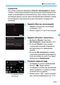 Страница 213