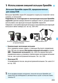 Страница 233