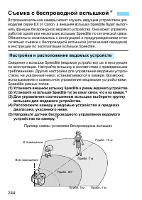 Страница 244