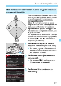 Страница 247