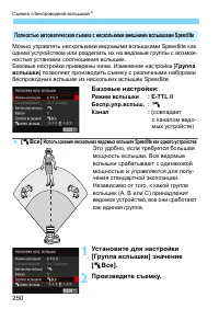 Страница 250