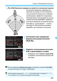 Страница 251