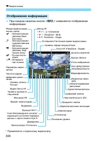 Страница 300