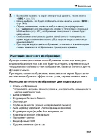 Страница 301