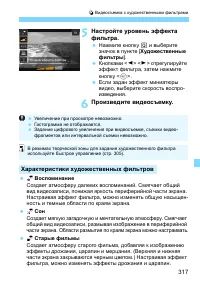 Страница 317