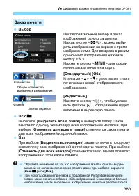 Страница 383