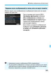 Страница 385