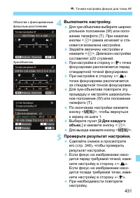 Страница 431