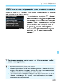 Страница 229