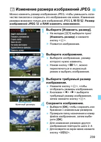 Страница 239