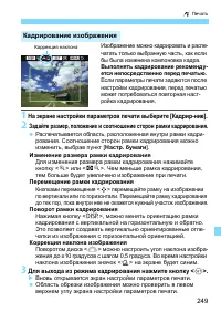 Страница 249