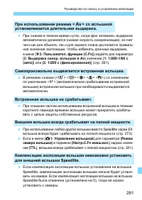 Страница 291