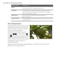 Страница 246