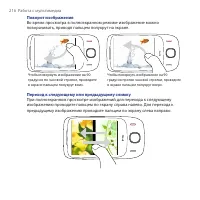 Страница 216