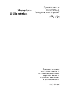 Electrolux EKC 601300 W (X)