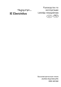 Electrolux EKK 601302 X