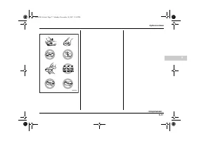 Страница 259