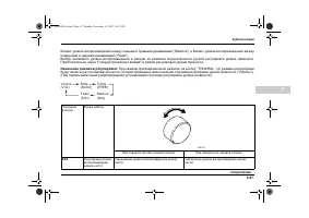 Страница 259