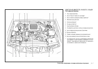 Страница 157