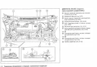 Страница 206