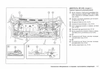 Страница 207