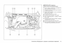 Страница 209