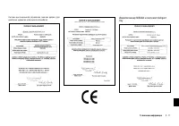 Страница 261