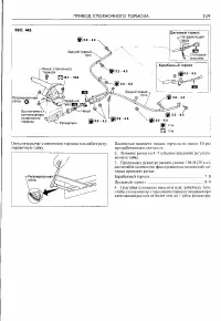 Страница 247