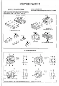 Страница 275