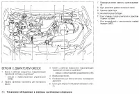 Страница 263