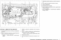 Страница 264