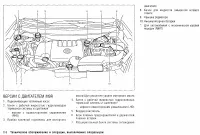 Страница 265