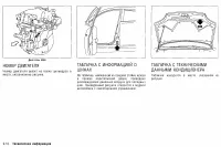 Страница 311