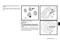 Страница 259