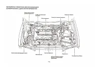 Страница 101
