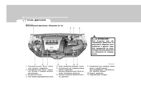 Страница 237
