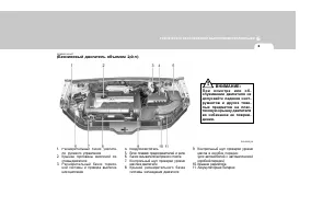 Страница 238