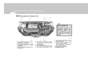 Страница 239