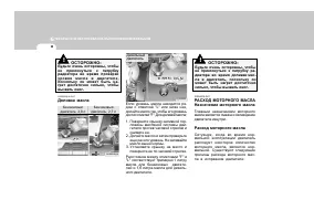 Страница 243