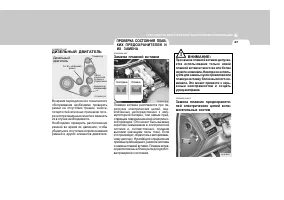 Страница 262