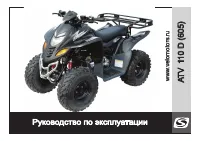 Stels ATV 110D