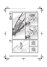 Страница 239