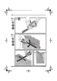 Страница 262