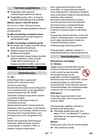 Страница 307