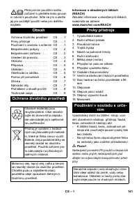 Страница 141