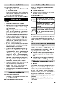 Страница 217