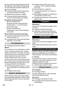 Страница 218