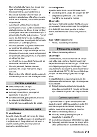 Страница 213