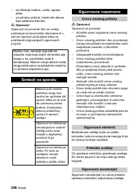 Страница 246